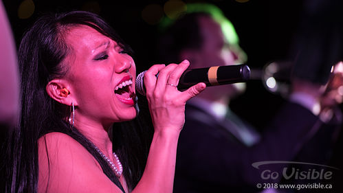 The Phonix Dance Band - Vancouver based wedding and event band