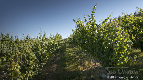 Serenata Guesthouse & Vineyard Retreat - Penticton, BC