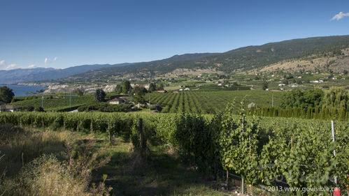 Serenata Guesthouse & Vineyard Retreat - Penticton, BC