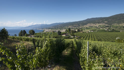 Serenata Guesthouse & Vineyard Retreat - Penticton, BC