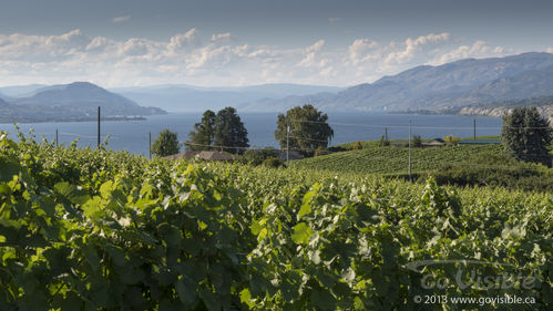 Serenata Guesthouse & Vineyard Retreat - Penticton, BC