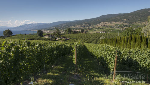 Serenata Guesthouse & Vineyard Retreat - Penticton, BC