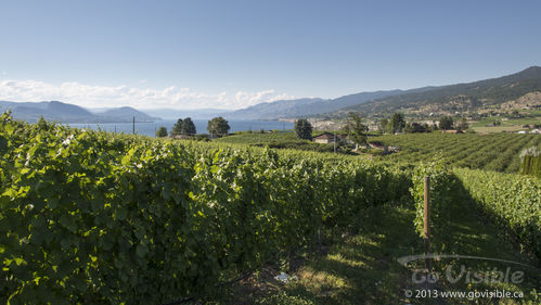 Serenata Guesthouse & Vineyard Retreat - Penticton, BC