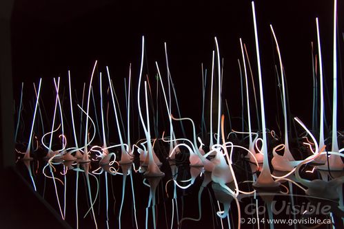 Dale Chihuly - Garden and Glass, Seattle