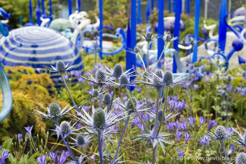 Dale Chihuly - Garden and Glass, Seattle