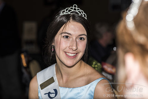 Business Excellence Awards 2016 - Presented by Penticton Chamber of Commerce