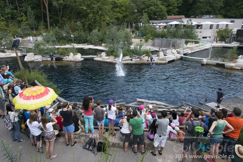 Nuremberg, Germany - The Franconian Metropolis