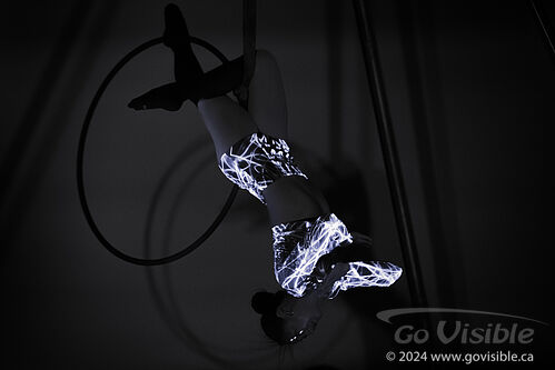 Kinshira Entertainment - Aerial Performances at Business Excellence Awards 2024
