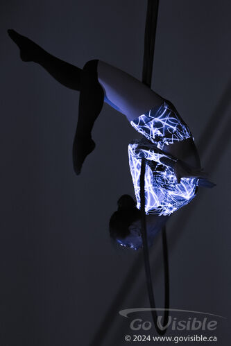 Kinshira Entertainment - Aerial Performances at Business Excellence Awards 2024
