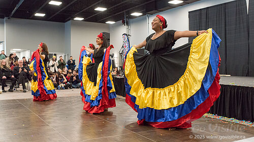 OneWorld Festival 2025 - Presented by SOICS
